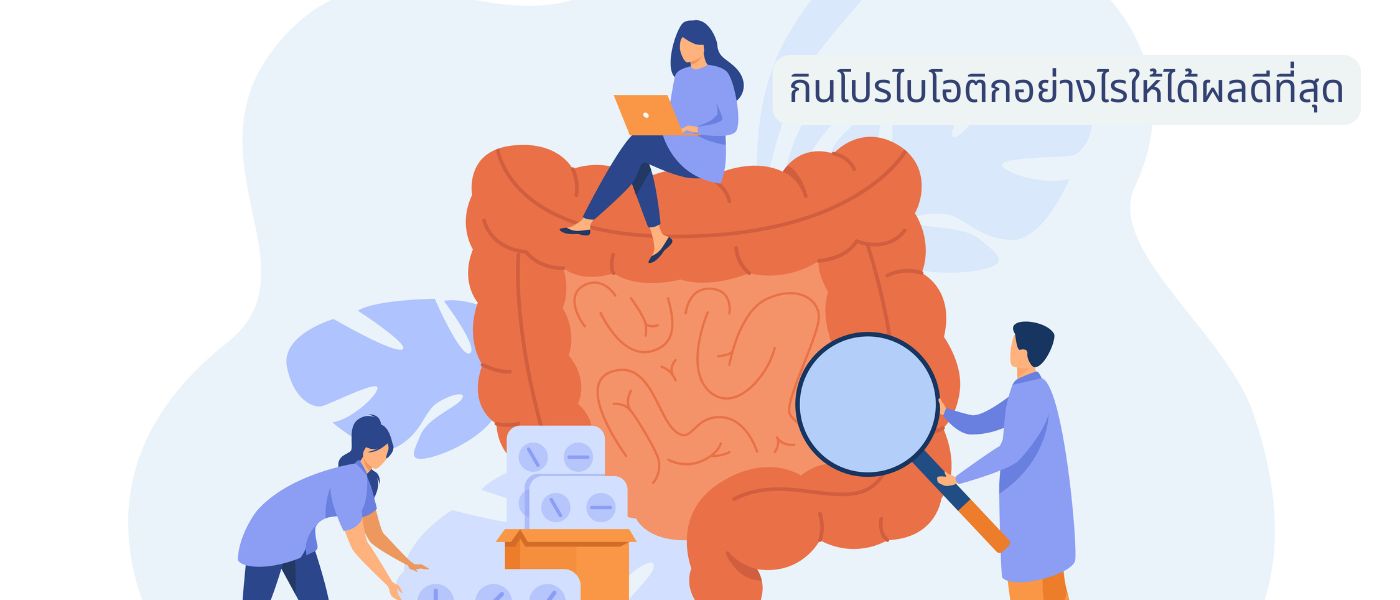 กินโปรไบโอติกอย่างไรให้ได้ผลดีที่สุด